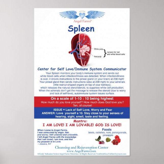 Spleendiagram för ängeljordbruk poster (Framsidan)