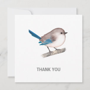 Splendid Fairy Wren Bird på Gren Tack Kort