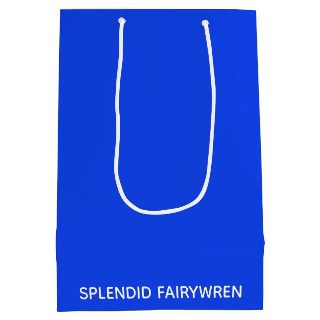 Splendid Fairywren Blue Färg Namn (Baksidan)