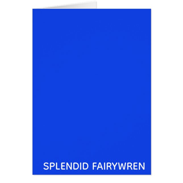 Splendid Fairywren Blue Färg Namn Hälsningskort (Framsidan)