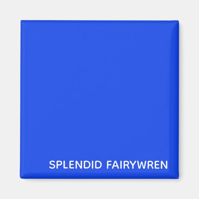 Splendid Fairywren Blue Färg Namn Magnet (Framsidan)