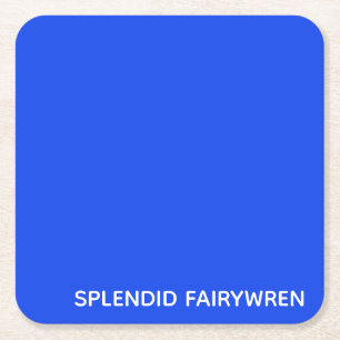 Splendid Fairywren Blue Färg Namn Underlägg Papper Kvadrat
