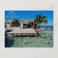 Splittringen på den Caye caulkeren, Belize