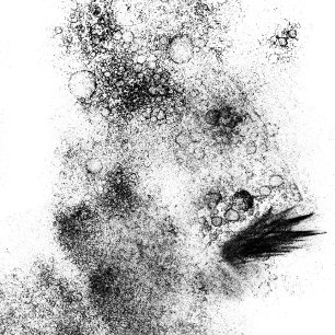 Splotches Wood Art Frimärke Stämpel
