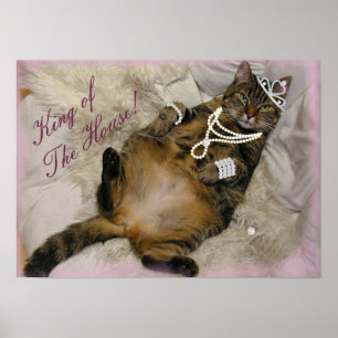 SPOILED PRINCESS CAT LAYY ON BAK POSTER