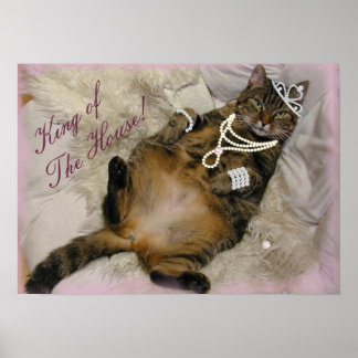 SPOILED PRINCESS CAT LAYY ON BAK POSTER