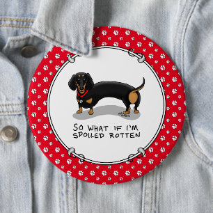 Spoiled Rotten Dachshund Hund (S black & tan) Cute Knapp