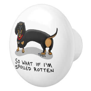Spoiled Rotten Dachshund (S black & tan) Cute hund Knopp
