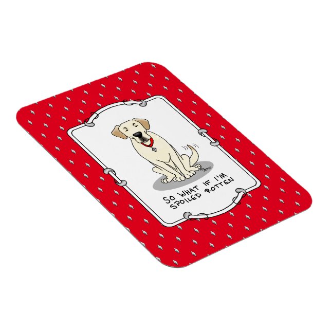 Spoiled Rotten Gul lab Labrador Retriever Funny Magnet (Högersidan)
