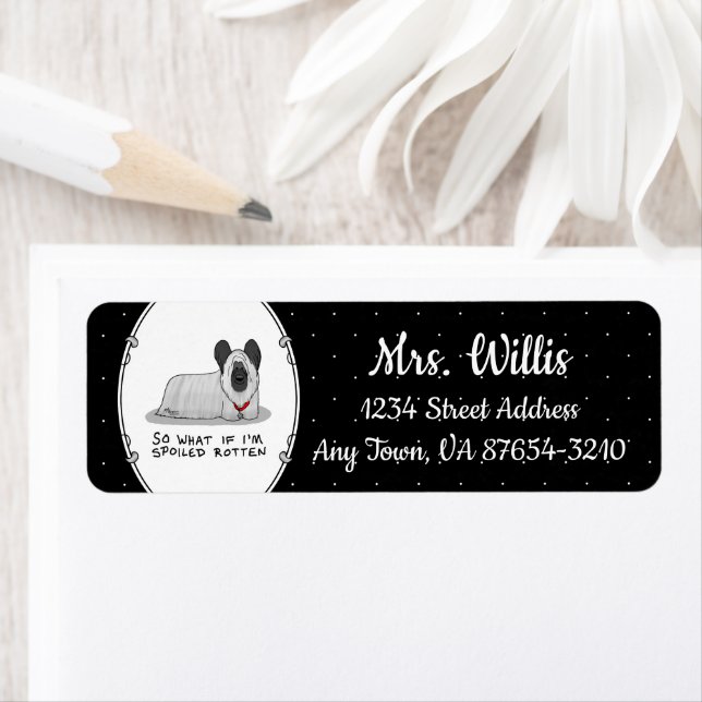 Spoiled Rotten Skye Terrier Hund (silver) Cute Rol Returadress Etikett (Insitu)