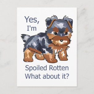 Spoiled Rotten Yorkie Vykort