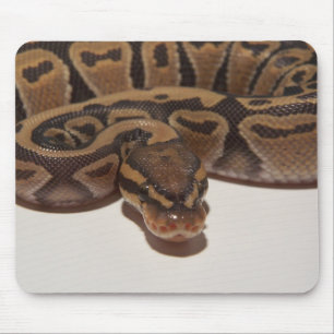 Spökebollpytonorm Mousepad Musmatta