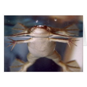 Spöken av många lägger benen på ryggen kortet hälsningskort