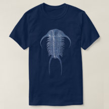 Spöklik blå Paraceraurus Trilobit