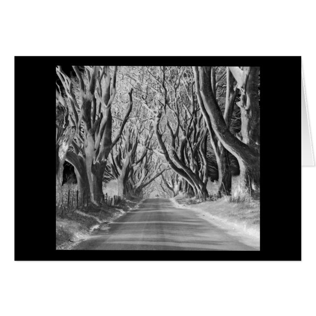 Spöklikt trä hälsningskort (Framsidan Horizontal)