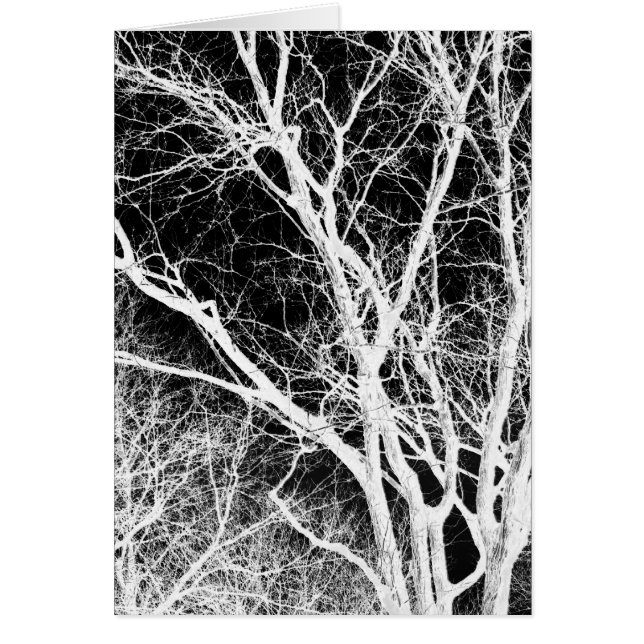 spökträd hälsningskort (Framsidan)