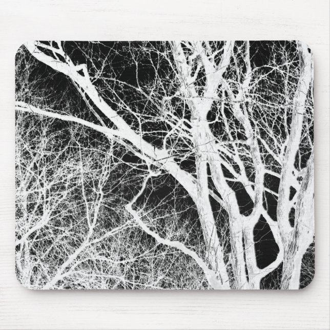 spökträd musmatta (Framsidan)