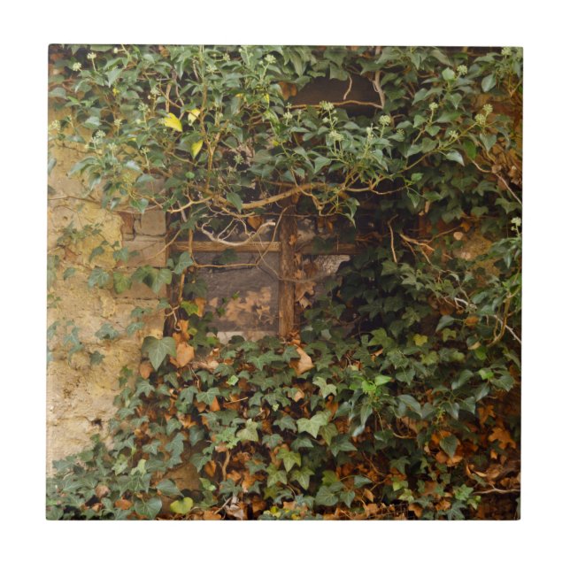 Spöktrappfönster Kakelplatta (Framsidan)