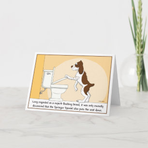 Spola kortet för SpringerSpaniel Kort