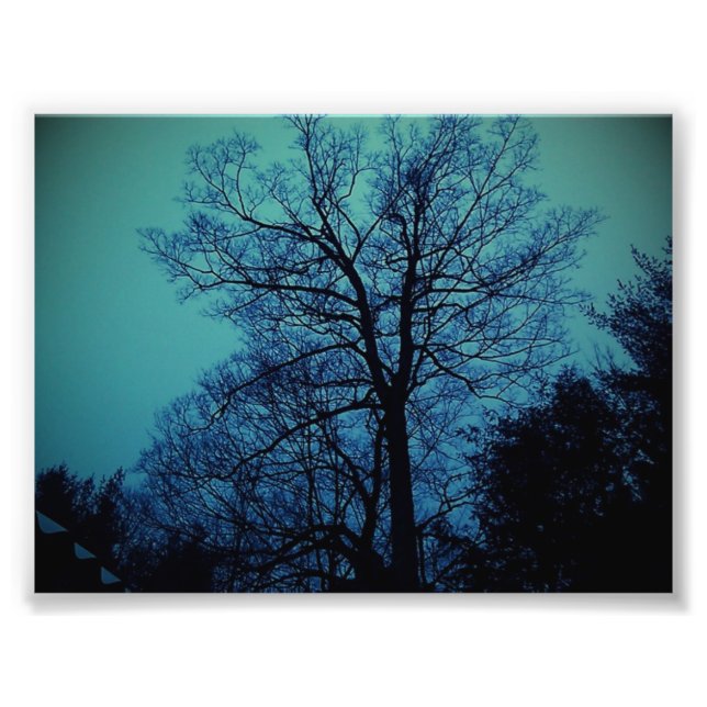 Spook Träd Skriv ut Fototryck (Framsidan)