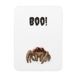 Spookspider "Boo!" Halloween magnet