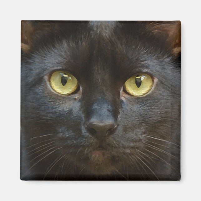 Spookussvart katt magnet (Framsidan)