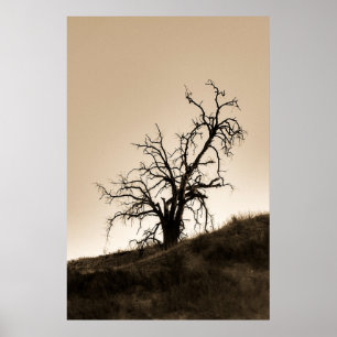 Spooky Autumn Oak Träd Poster