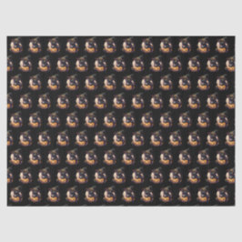 Spooky Black Cat and Jack-o-Lantern Orange