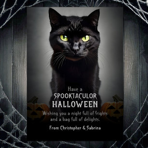 Spooky Black Cat Halloween Hälsning Julkort