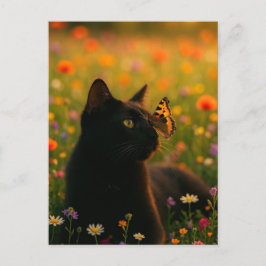 Spooky Black Cat Halloween Tapet - 2025 Natt! Helg Vykort