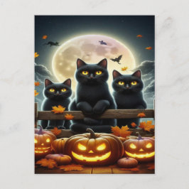 Spooky Black Cat Halloween Tapet - 2025 Natt! Helg Vykort