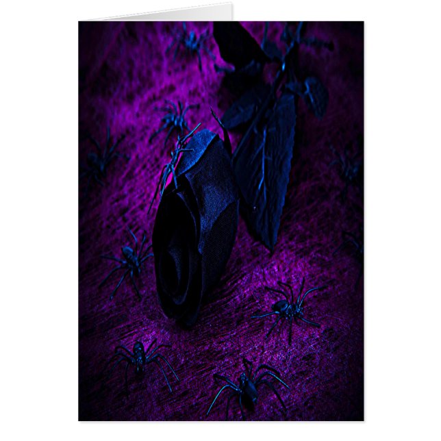 Spooky Black Material Ro, Black Spiders Hälsningskort (Framsidan)