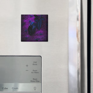 Spooky Black Material Ro, Black Spiders Magnet