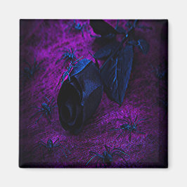 Spooky Black Material Ro, Black Spiders Magnet