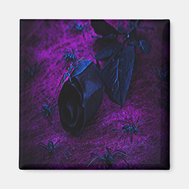 Spooky Black Material Ro, Black Spiders Magnet (Framsidan)