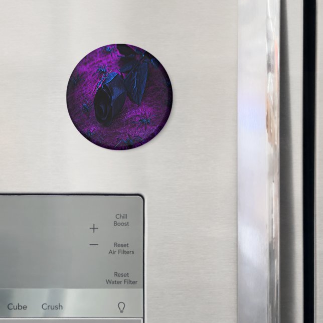 Spooky Black Material Ro, Black Spiders Magnet (In Situ (Fridge))