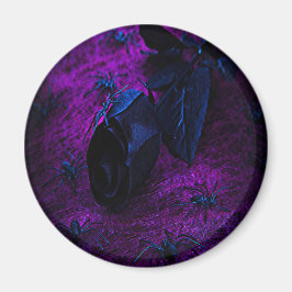 Spooky Black Material Ro, Black Spiders Magnet