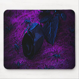 Spooky Black Material Ro, Black Spiders Musmatta
