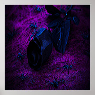 Spooky Black Material Ro, Black Spiders Poster