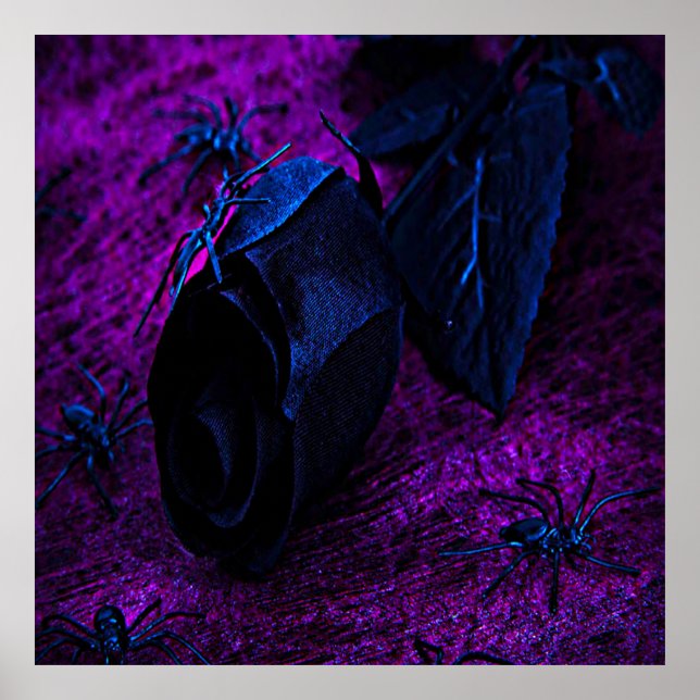 Spooky Black Material Ro, Black Spiders Poster (Framsidan)