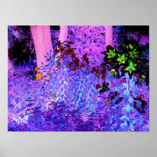 Spooky Black och Crimson Lily Garden Ligcape Poster (Framsidan)