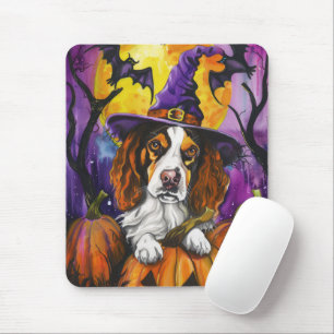 Spooky Brittany Spain Halloween Witch Pumpkin Musmatta