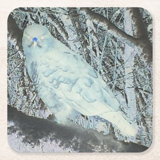 Spooky Buzzard på Underlägg Gren (Framsidan)