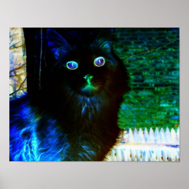 Spooky Cat Poster (Framsidan)