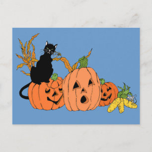 Spooky Cat Vykort