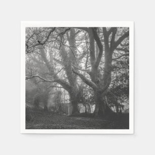 Spooky Forest Black and White Photography Pappersservett