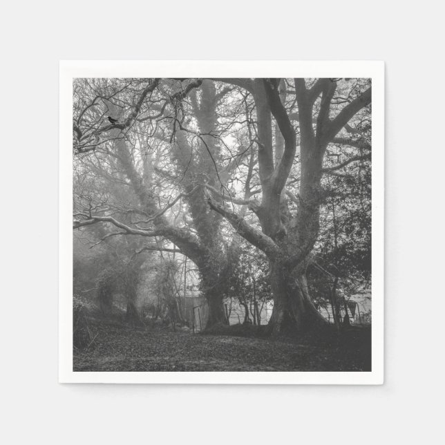 Spooky Forest Black and White Photography Pappersservett (Framsidan)