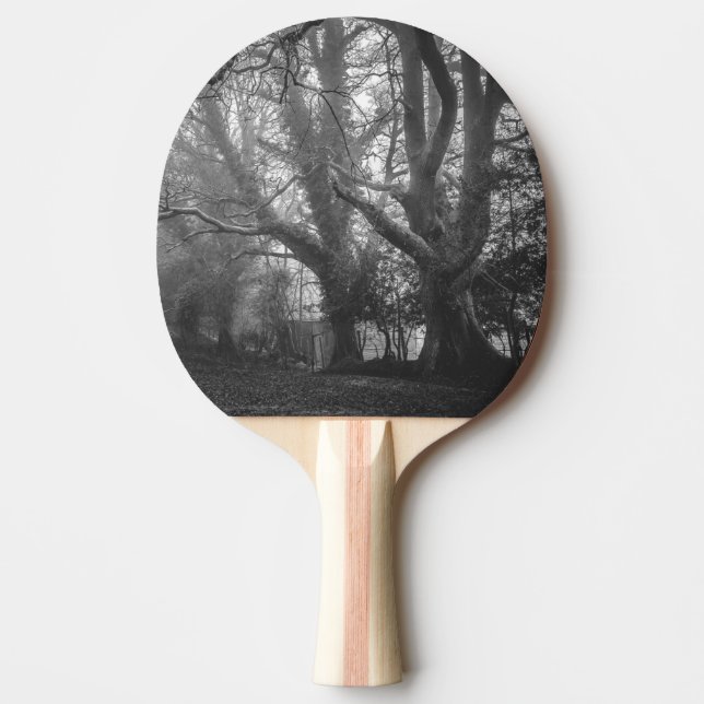 Spooky Forest Black and White Photography Pingisracket (Framsidan)