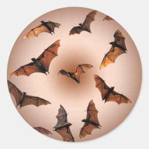 Spooky Halloween Fruit Fladdermöss (flygande rävar Runt Klistermärke