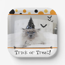 Spooky Halloween-katt i Witch Hat